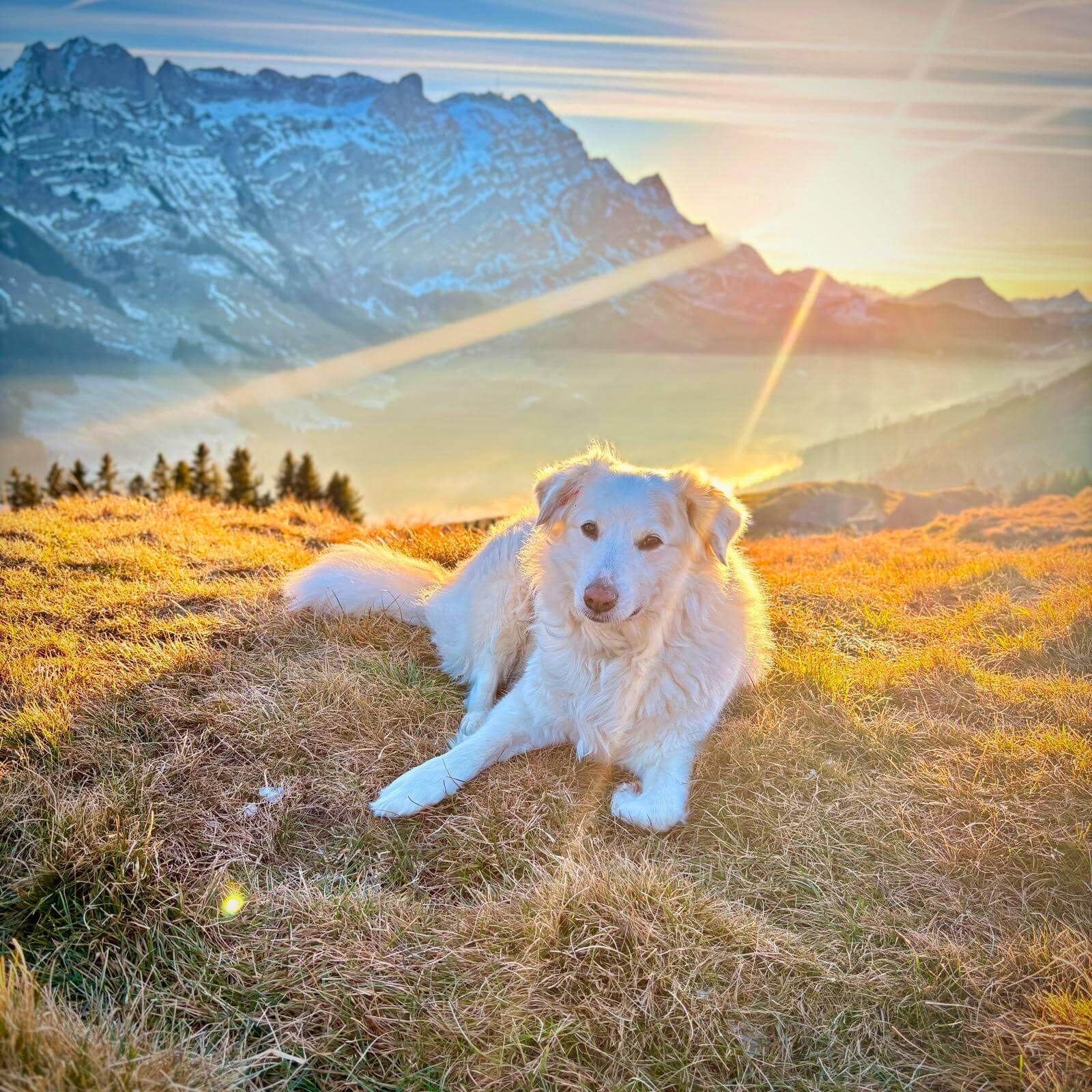 Ava – von unsichtbar zu selbstbewusst