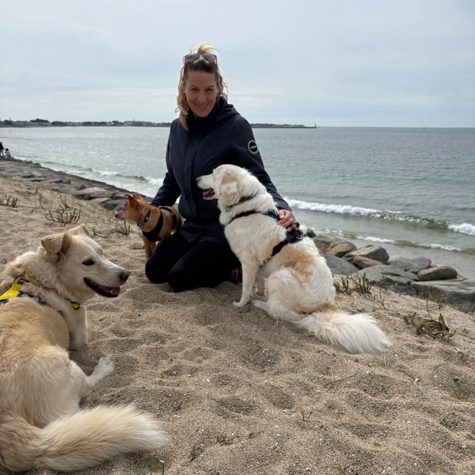 Ozzy, Ava und Nala – die drei Hunde von Franziska Wallenaar am Strand, KLARHUND Ostschweiz