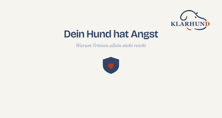Dein Hund hat Angst