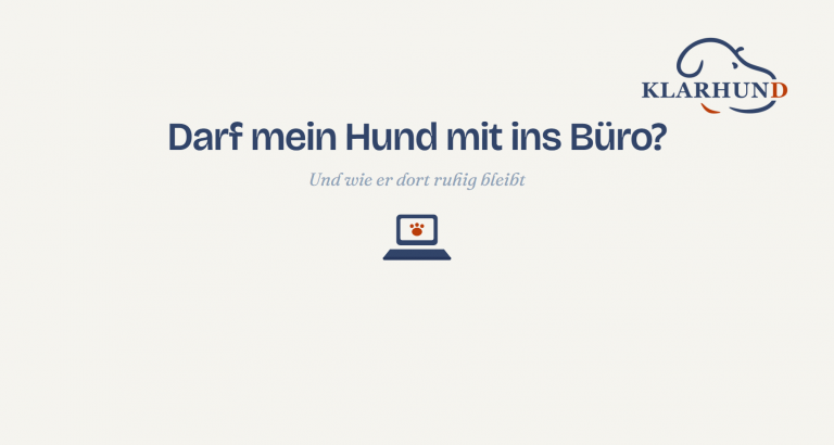 Darf mein Hund mit ins Büro – KLARHUND Bürohund-Begleitung
