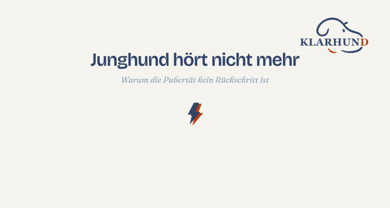 Wenn der Junghund nicht mehr hört.