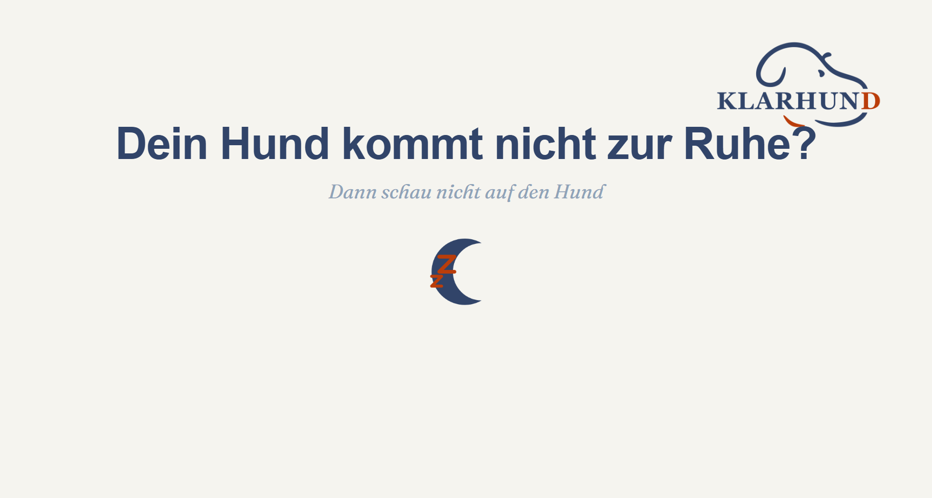Hund kommt nicht zur Ruhe