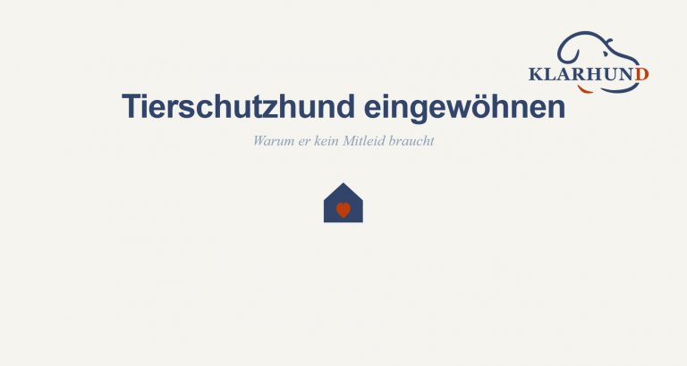 Tierschutzhund eingewöhnen