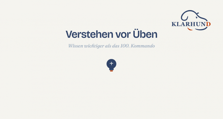 verstehen vor üben