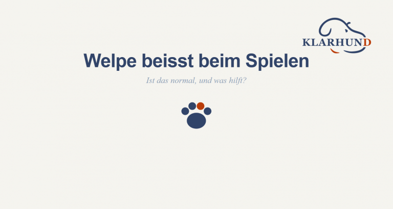 Welpe beisst beim Spielen