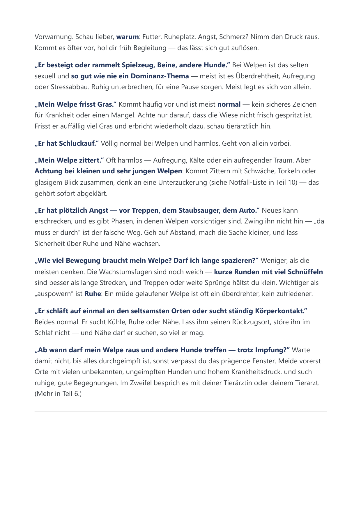 Arbeitsblatt