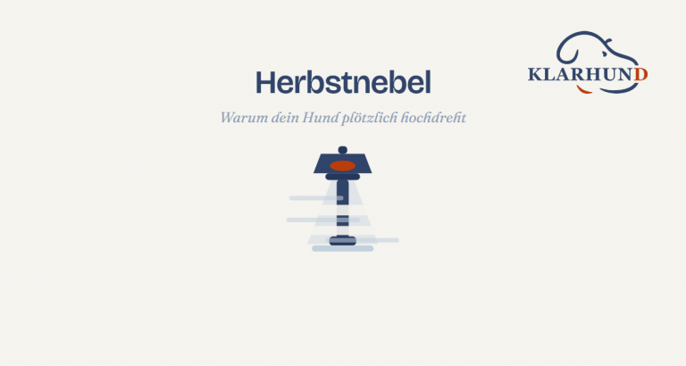 Strassenlaterne mit Lichtkegel im Nebel - Illustration zum Artikel ueber Herbstnebel und Unsicherheit beim Hund