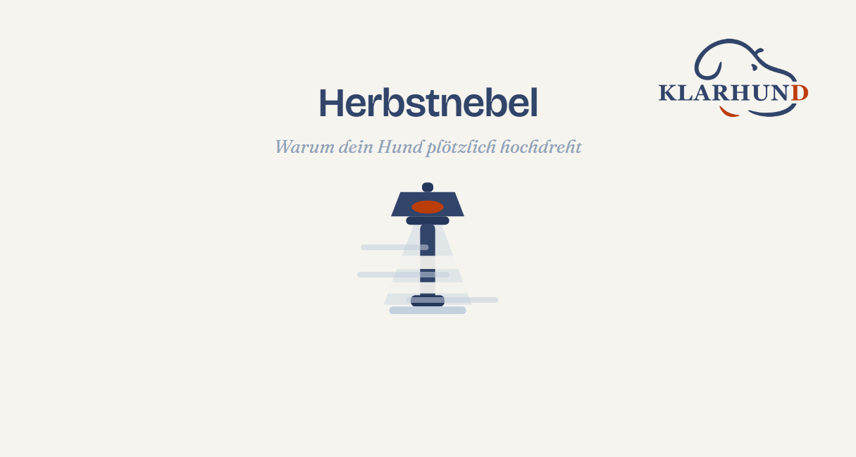 Strassenlaterne mit Lichtkegel im Nebel - Illustration zum Artikel ueber Herbstnebel und Unsicherheit beim Hund
