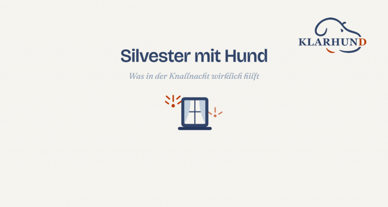 Fenster mit zugezogenen Vorhaengen, draussen Feuerwerksfunken - Illustration zum Artikel Silvester mit Hund