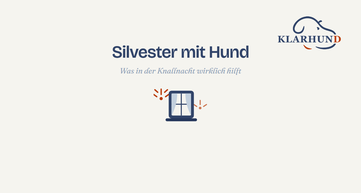 Fenster mit zugezogenen Vorhaengen, draussen Feuerwerksfunken - Illustration zum Artikel Silvester mit Hund