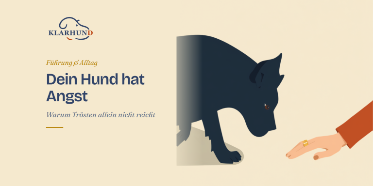 Ängstlicher Hund