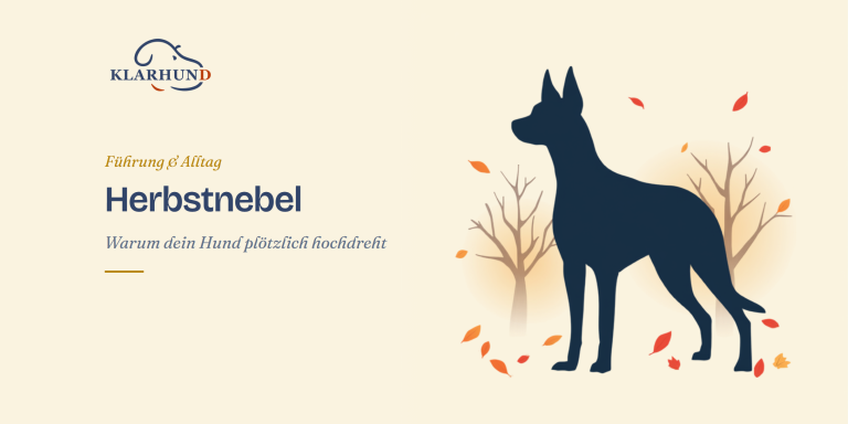 Herbstnebel