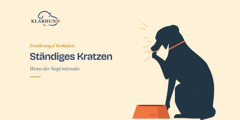 Hund kratzt sich ständig