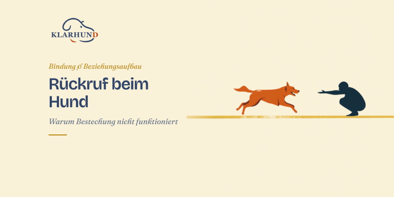 Rückruf Hund