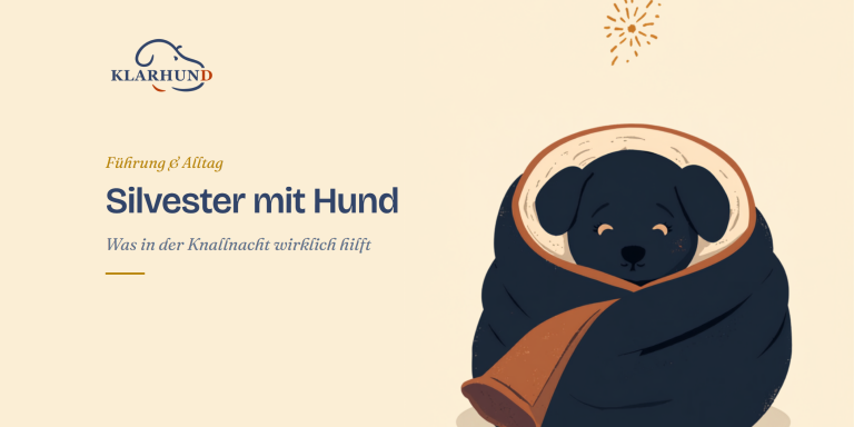 Silvester mit Hund