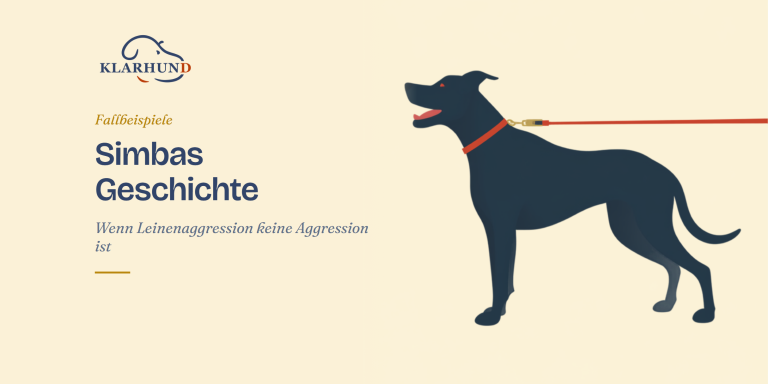 Leinenaggression Hund