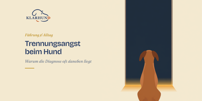 Trennungsangst