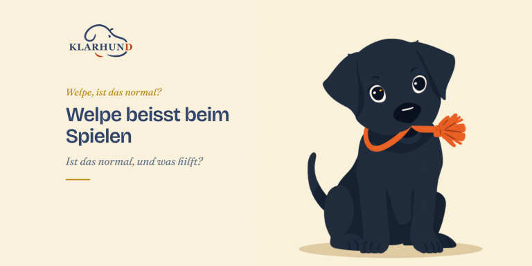 Welpe beisst